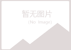 鹤岗南山字迹工程有限公司